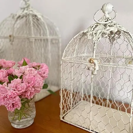 Terre D'ablois Bed and breakfast Saint-Martin-dʼAblois